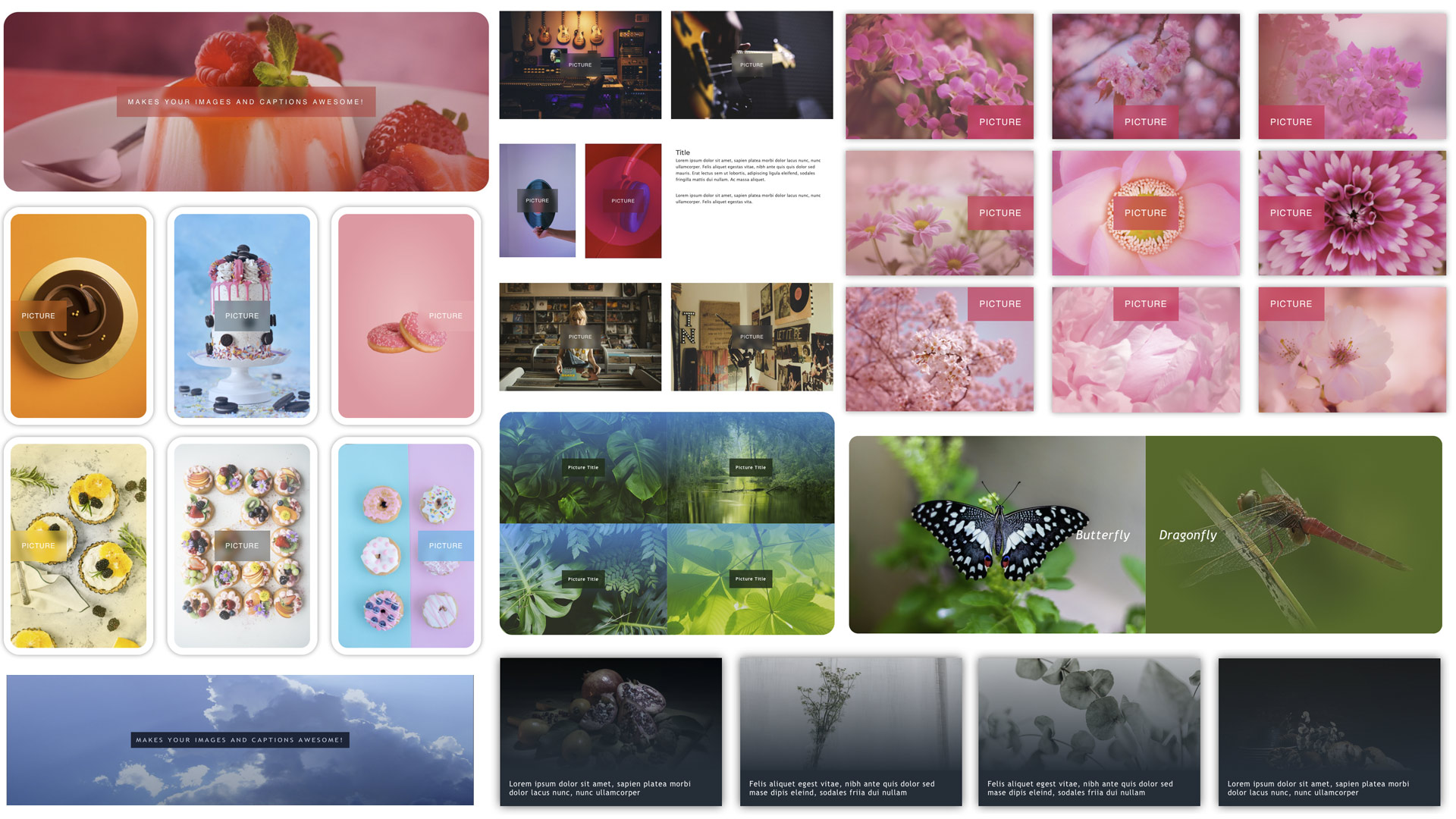 picture_multithemes_006